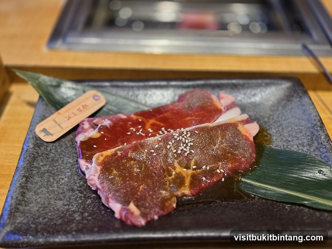 Raw Beef Slices