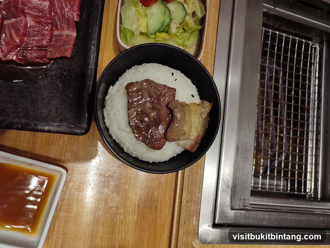 Grilled Meat and Rice