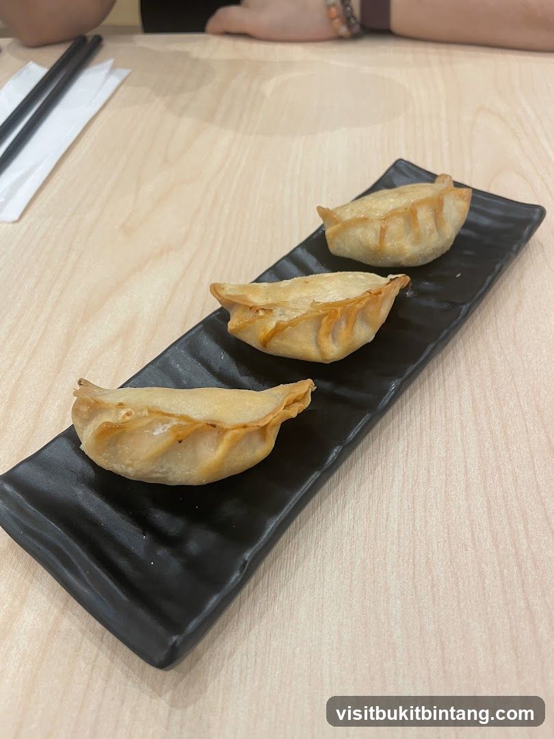 Fried Dumplings