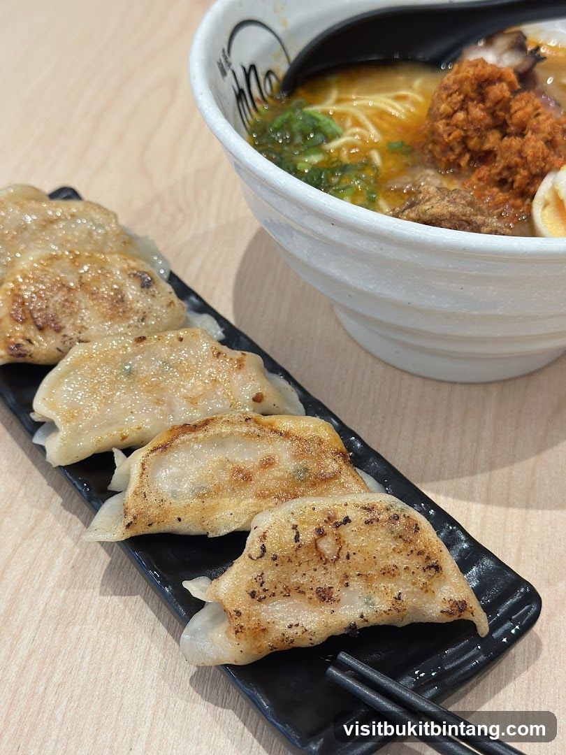 Gyoza and Ramen