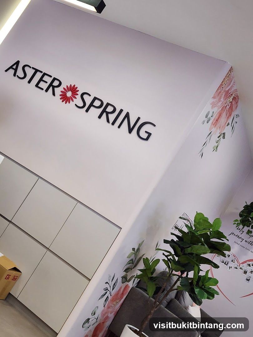 Aster Spring Interior