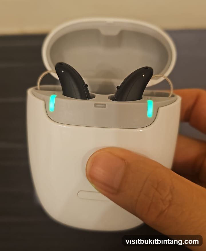 Hearing Aids in Charging Case