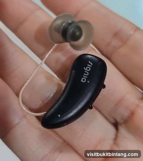 Signia Hearing Aid