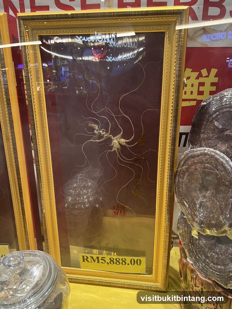 Framed Ginseng Root