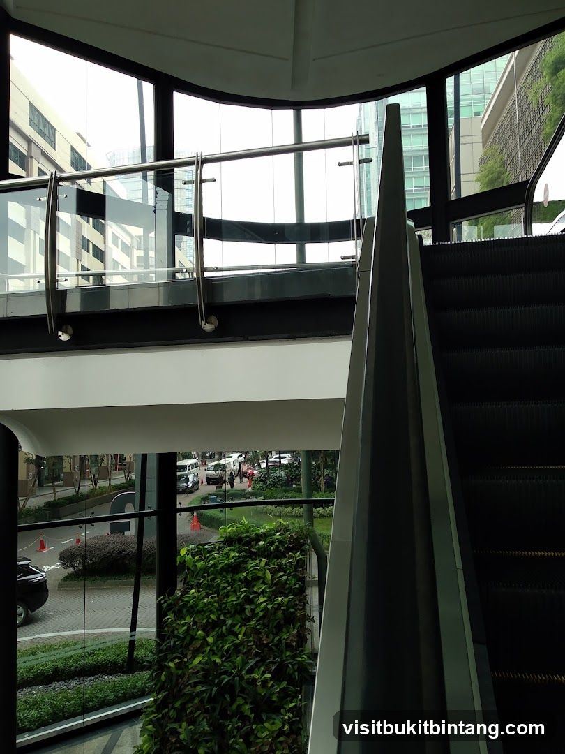 Modern Escalator and Outdoor View