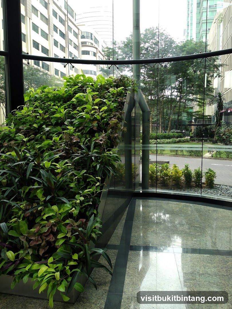 Indoor plants and city view
