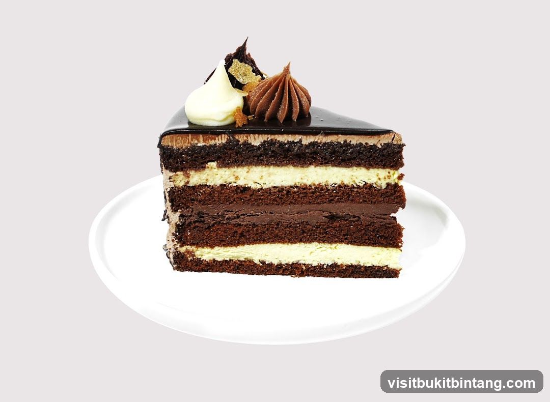 Slice of Chocolate Cake