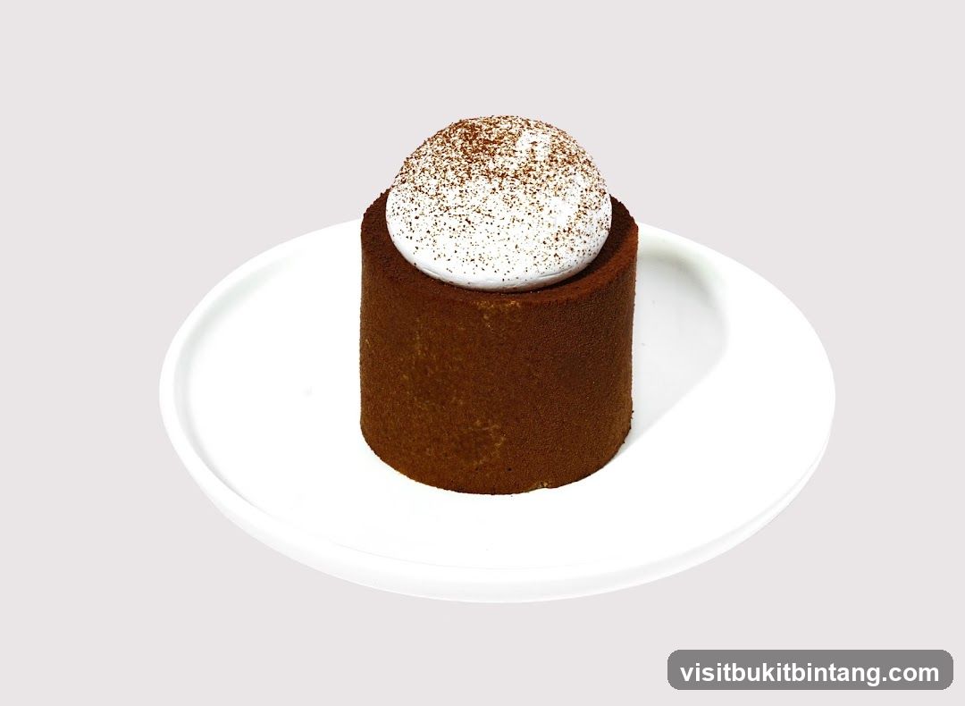 Chocolate Mousse Cake