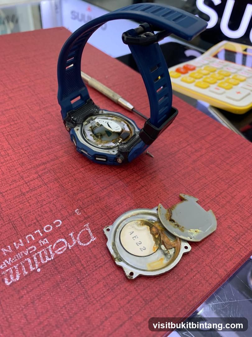 Disassembled Watch