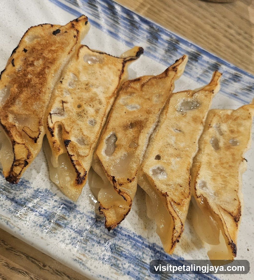 Gyoza on a ceramic plate