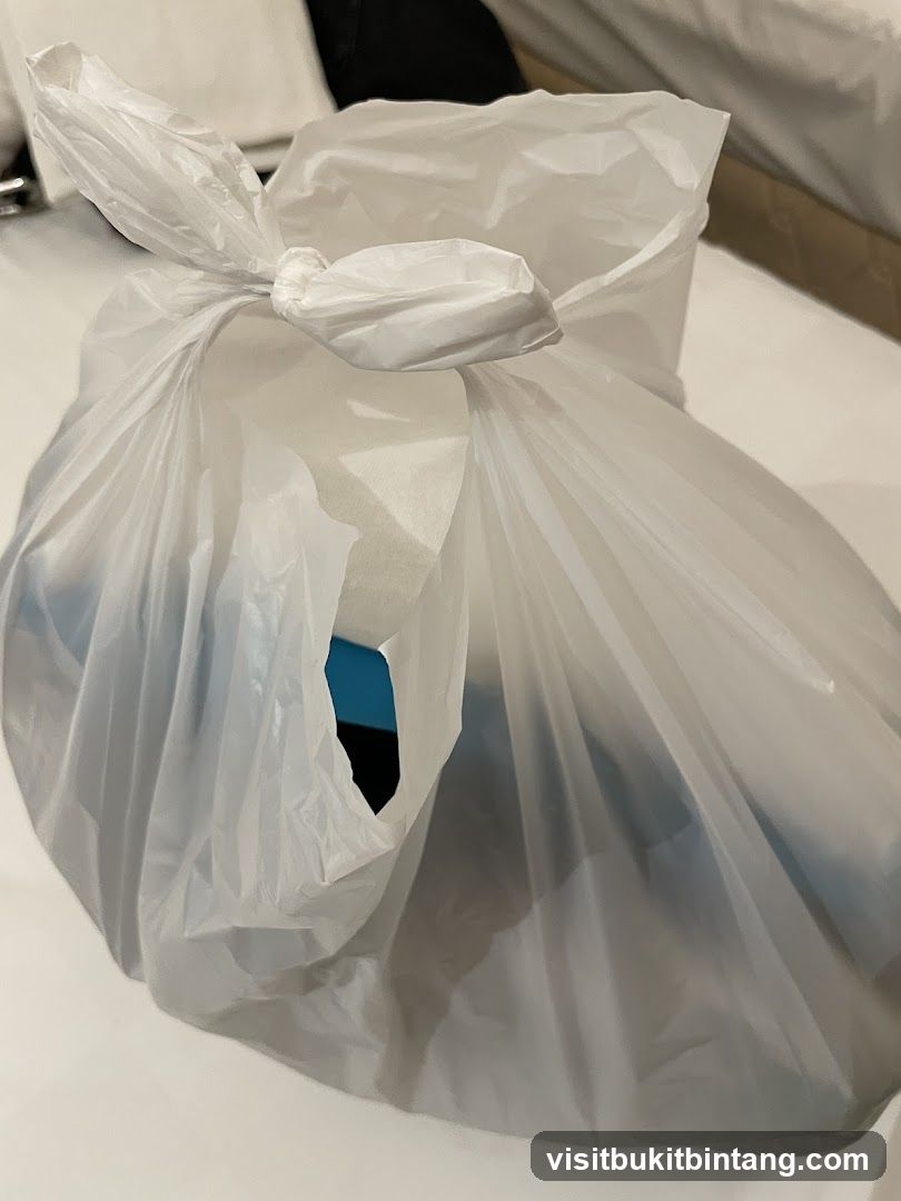 Takeout Bag