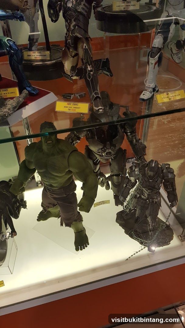 Action Figures Display