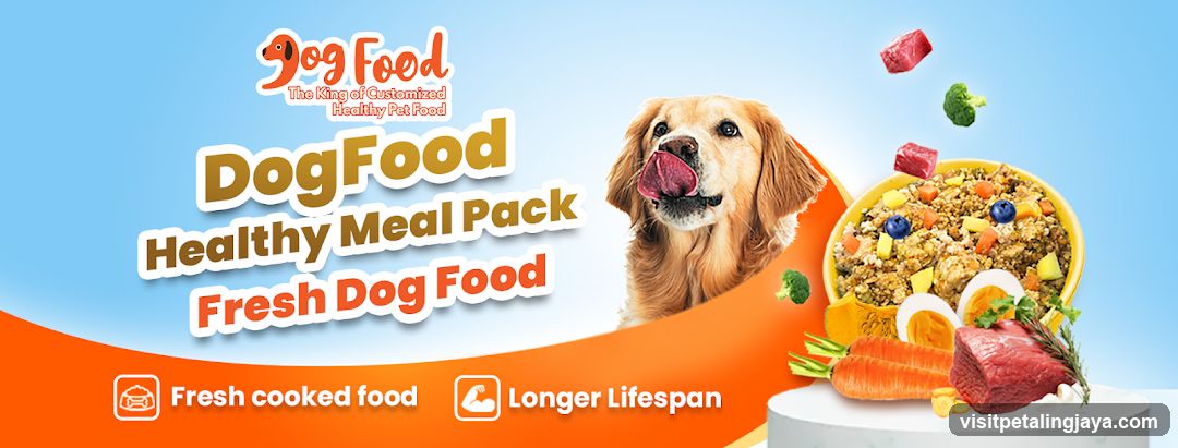 Dog Food Healthy Meal Pack