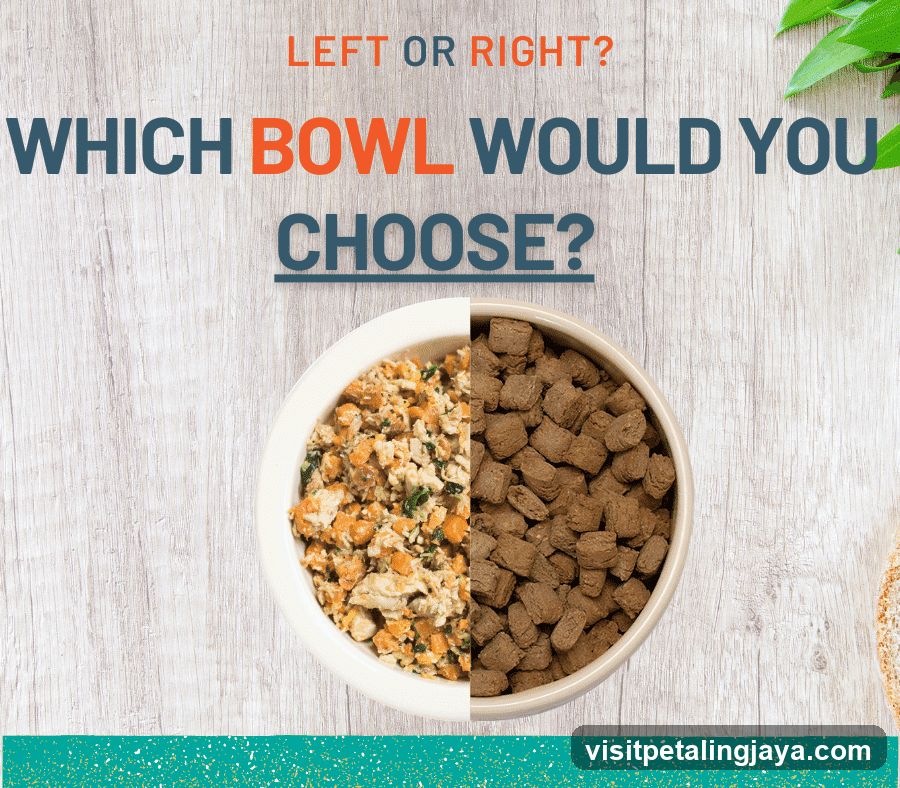 Left or Right? Which Bowl Would You Choose?