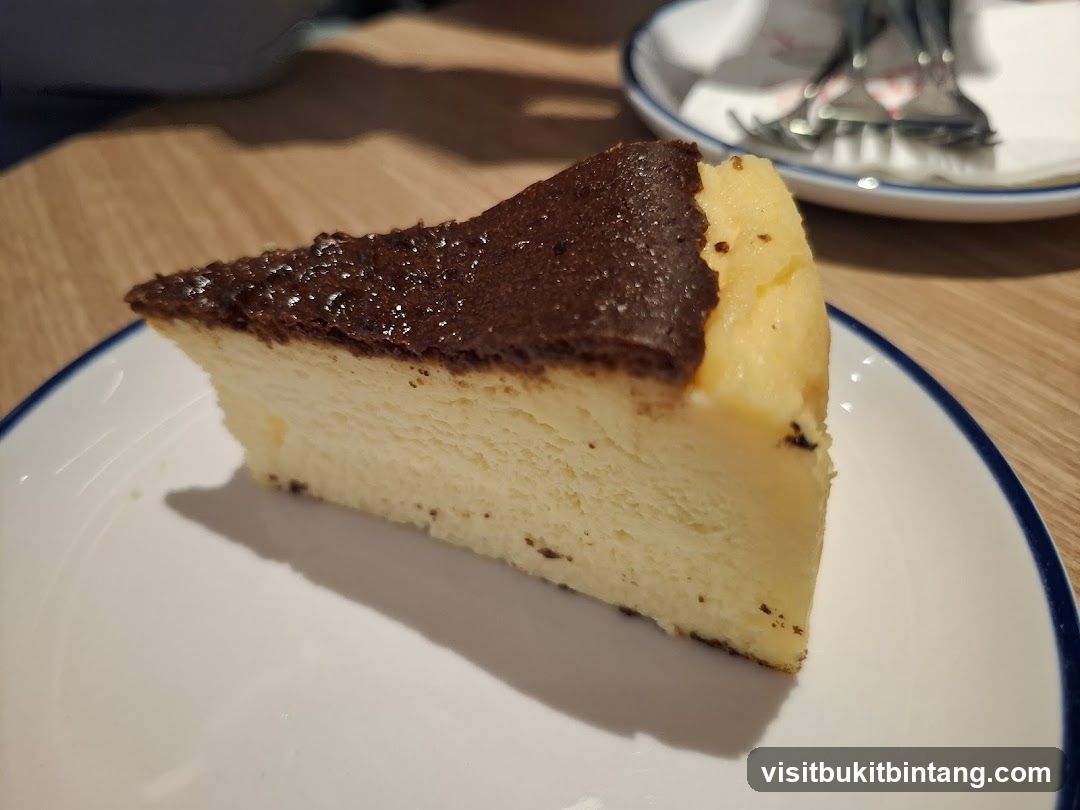 Slice of Burnt Cheesecake