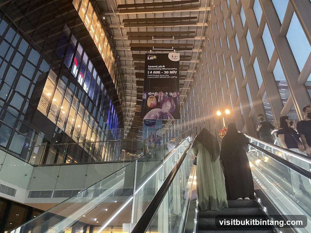 Modern Indoor Atrium with Escalators