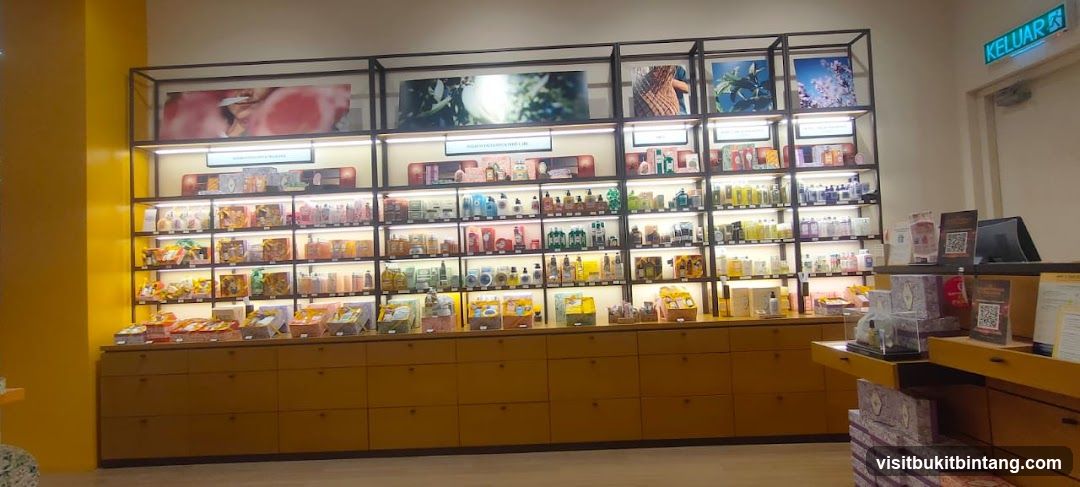 Cosmetics Store Display