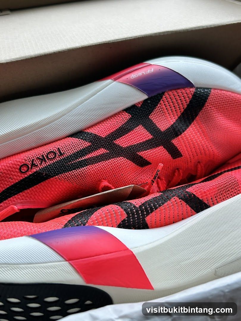 ASICS Tokyo FF Leap Running Shoes