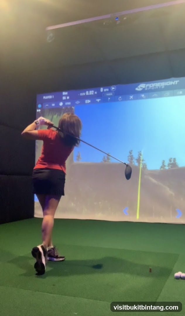 Golf Simulator