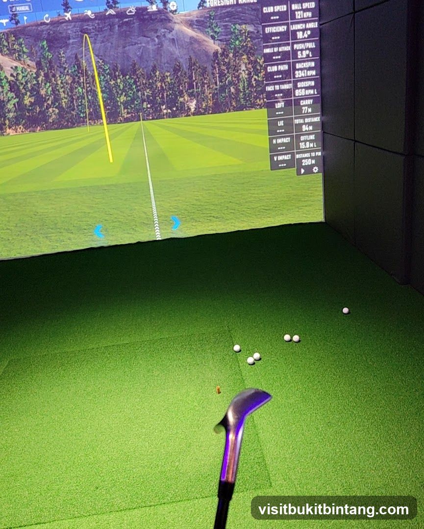 Golf Simulator Screen