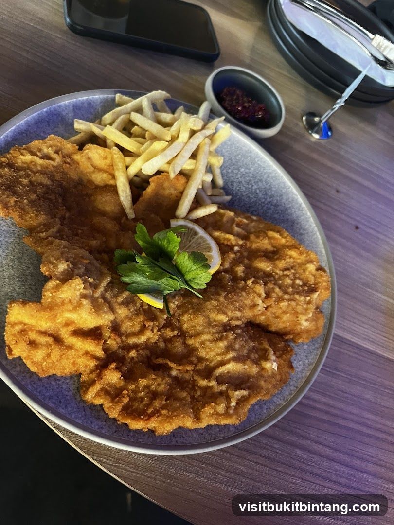 Schnitzel with Fries