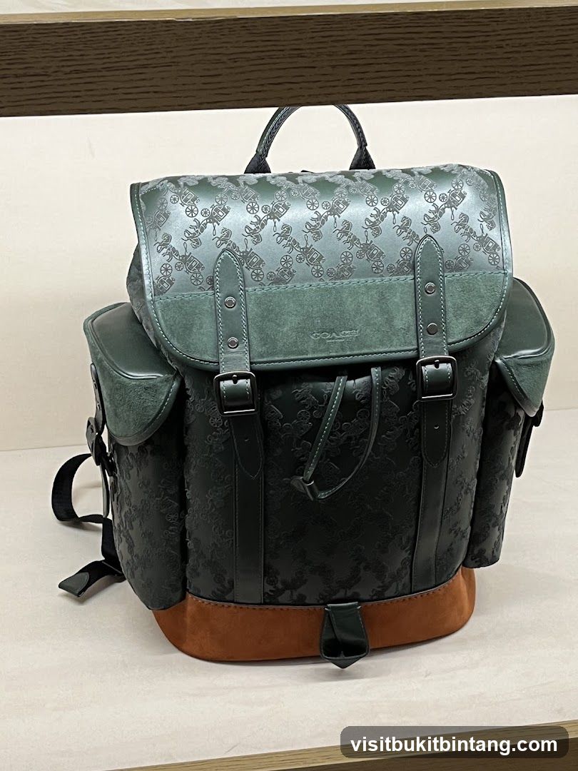 Coach Backpack