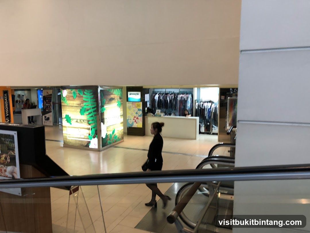 Mall Interior with Shops and Escalators