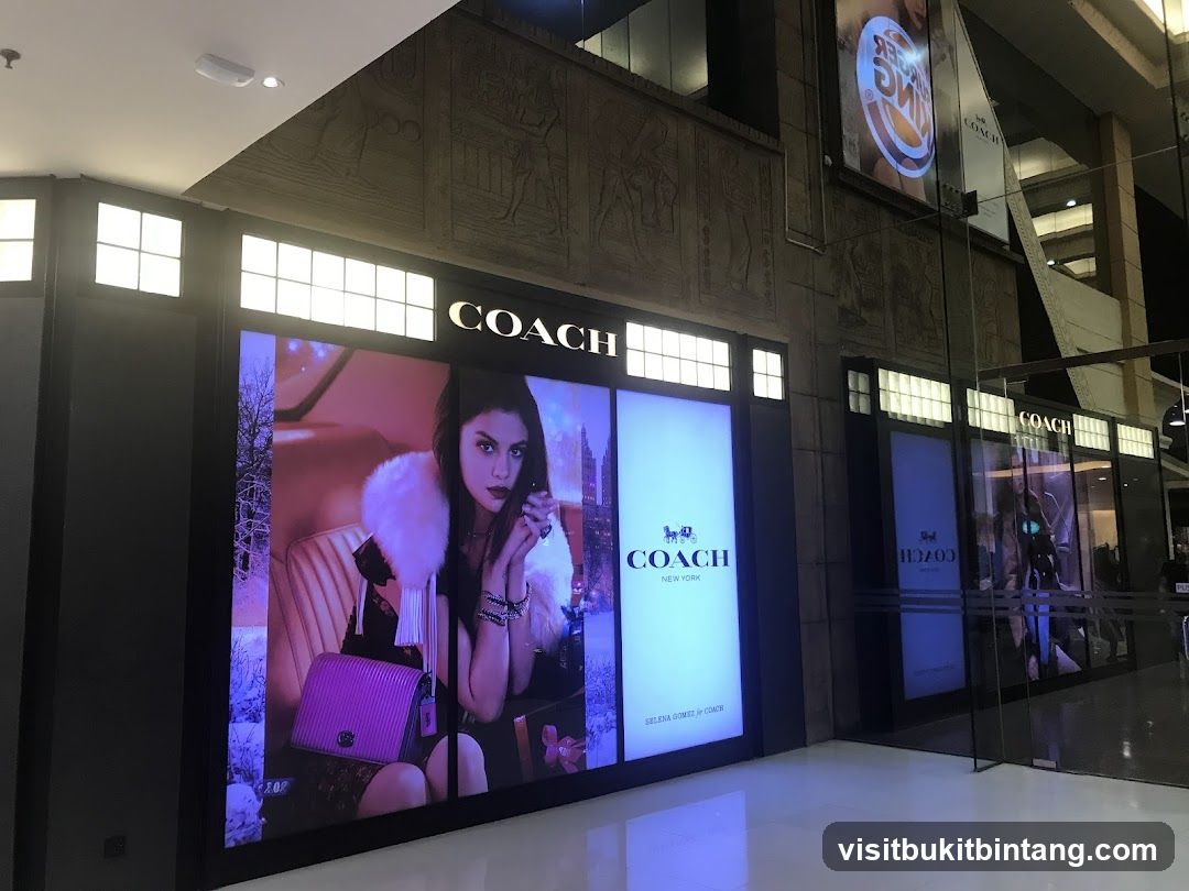 Coach Storefront