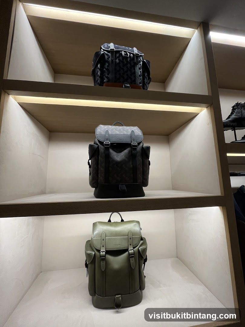 Backpacks on Display