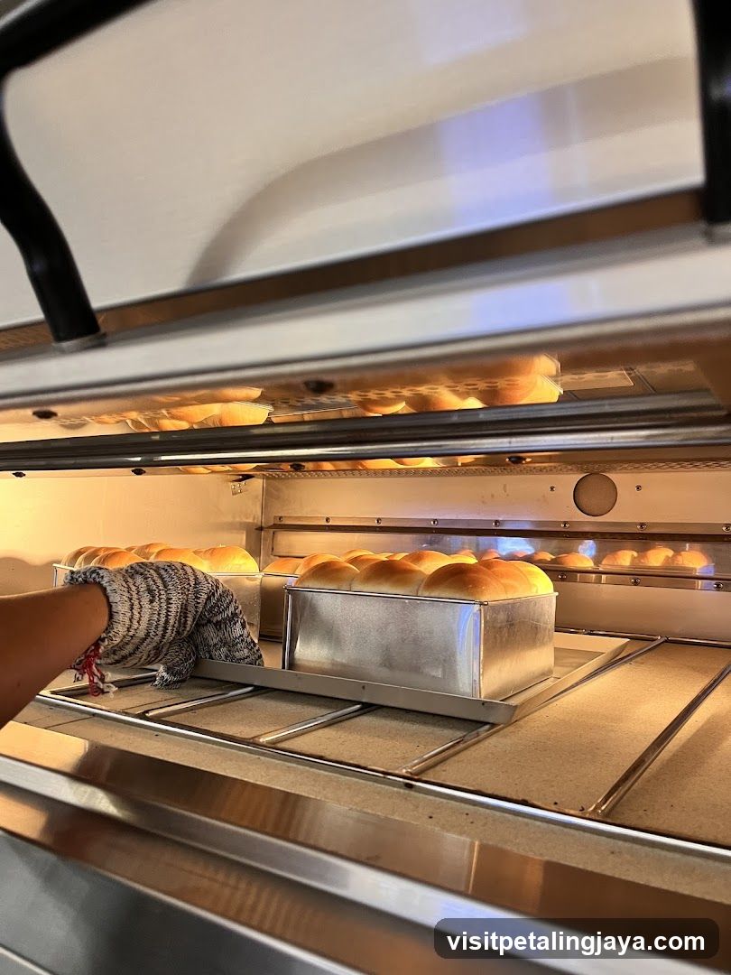 Baking in Progress