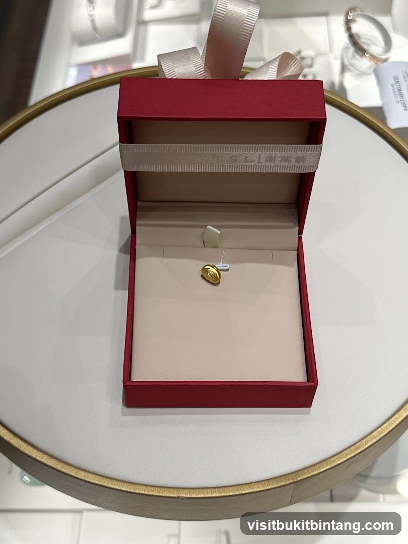 Jewelry Box with Charm