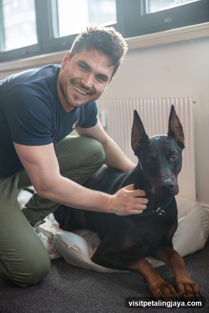 Man petting a Doberman