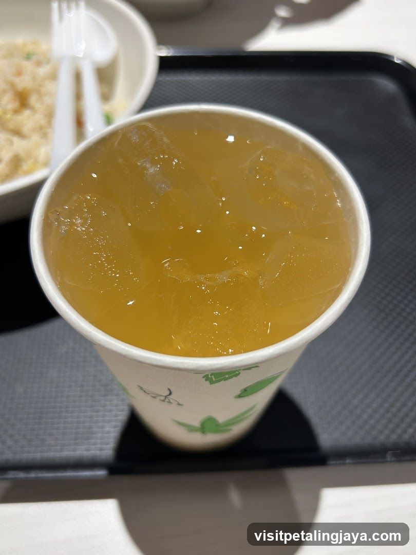 Iced Drink with Ice Cubes