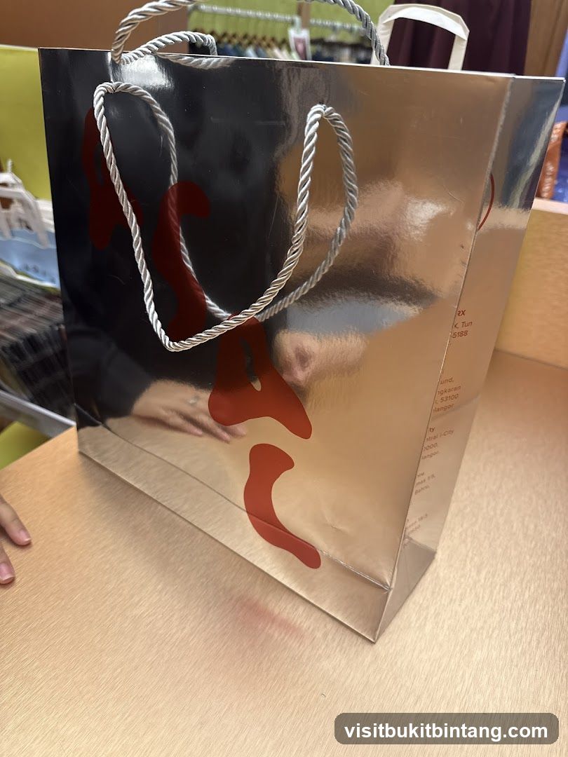 Silver Gift Bag
