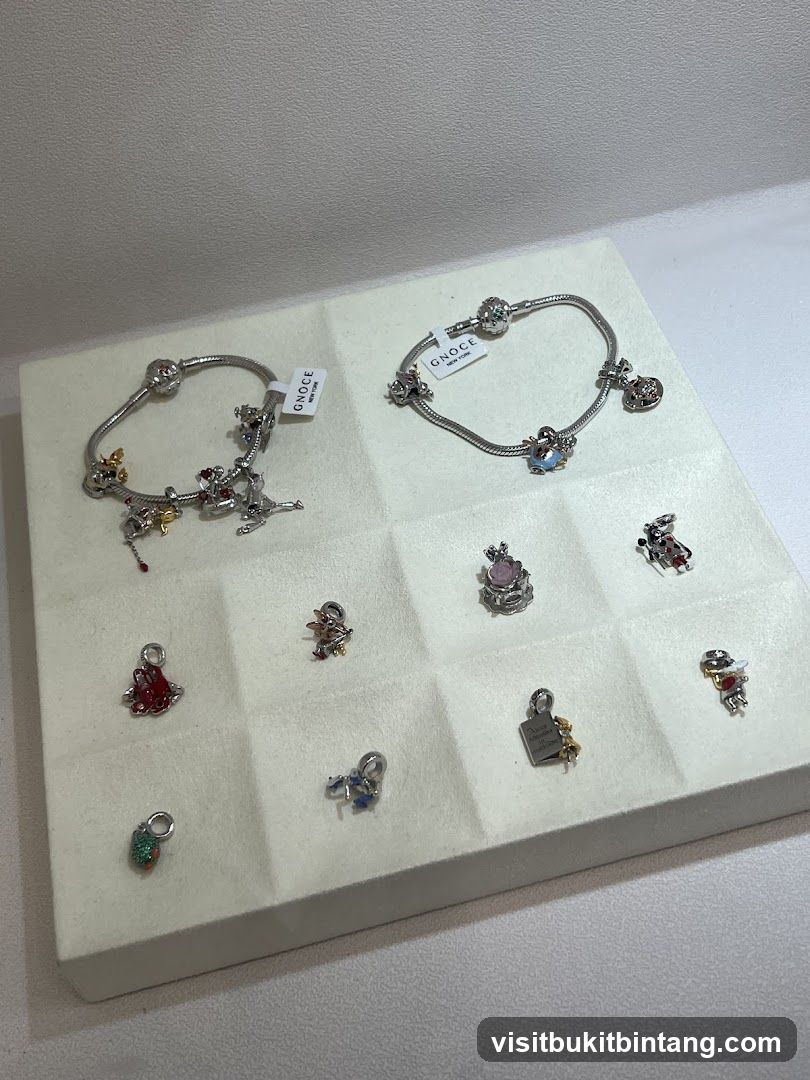 Bracelets and Charms