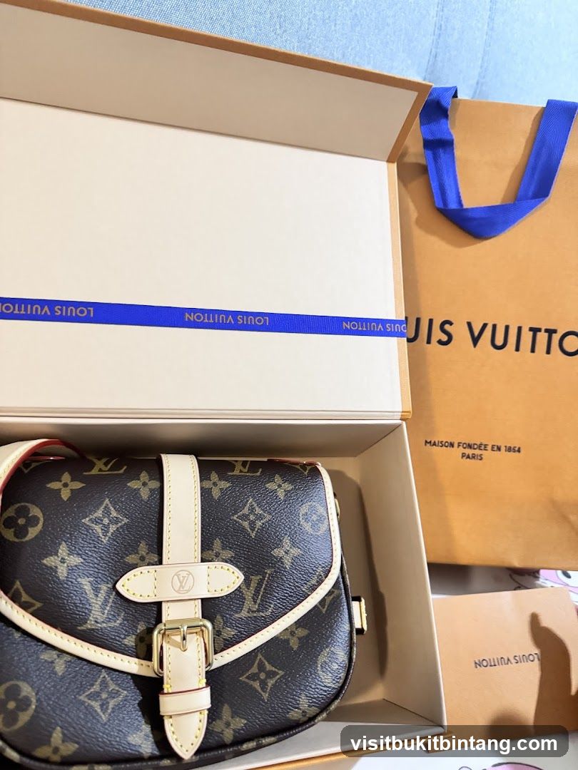Louis Vuitton Bag and Packaging