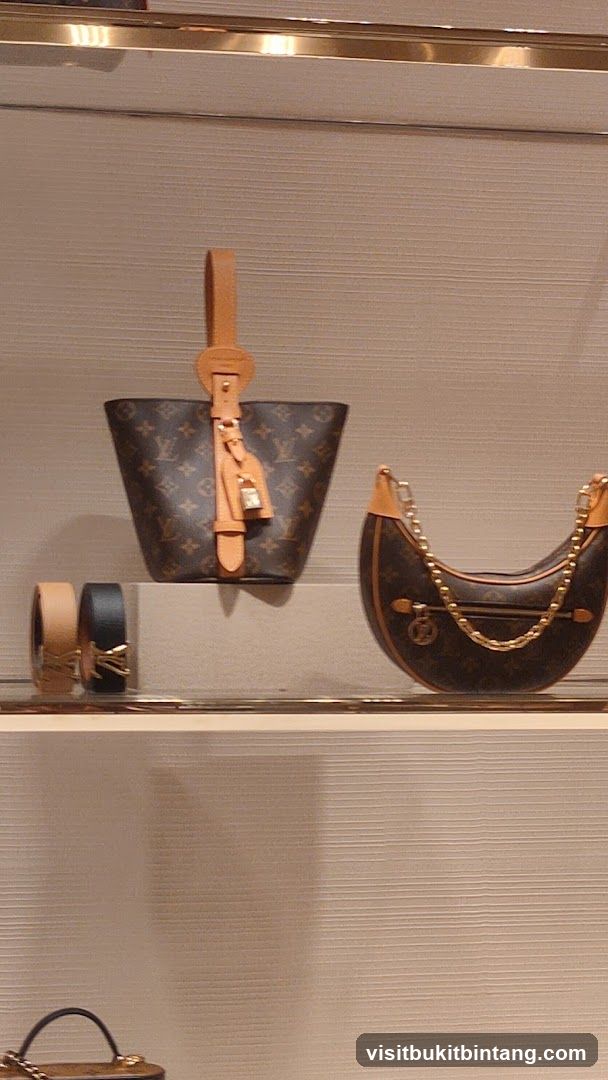 Designer Handbags and Belts