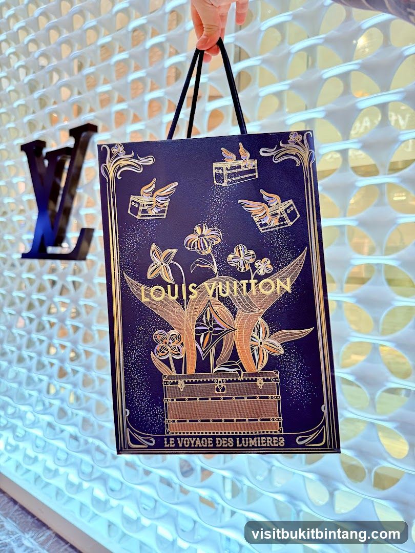 Louis Vuitton Gift Bag