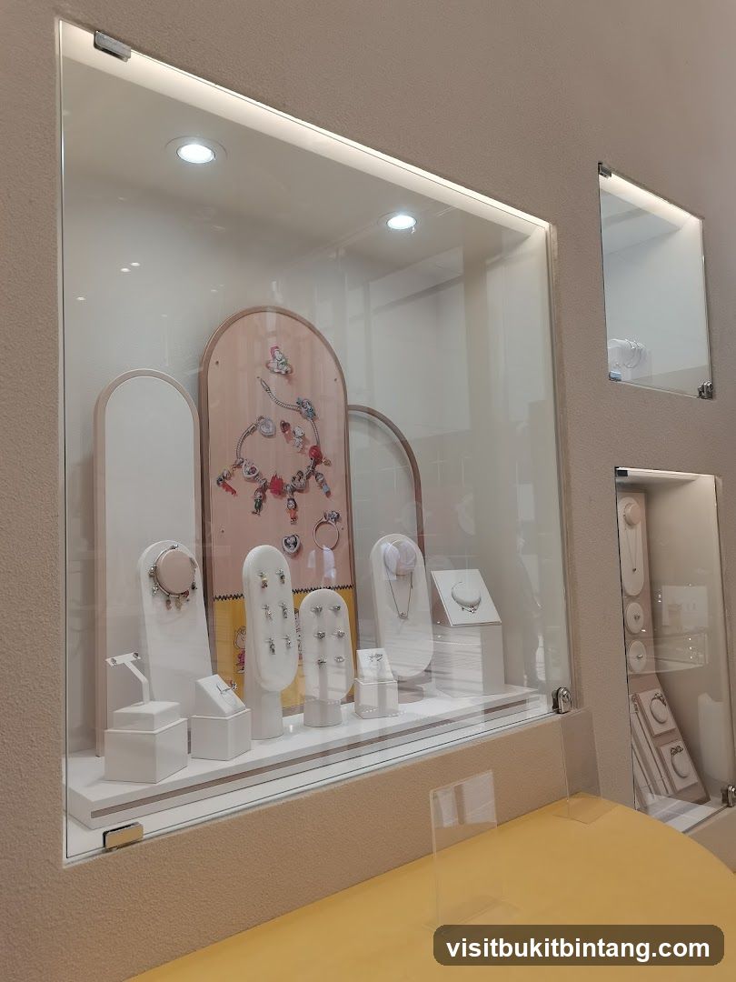 Jewelry Display Case