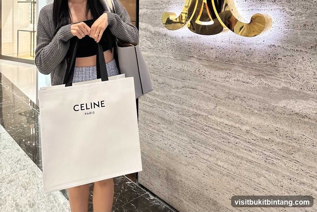 Person holding a Celine shopping bag
