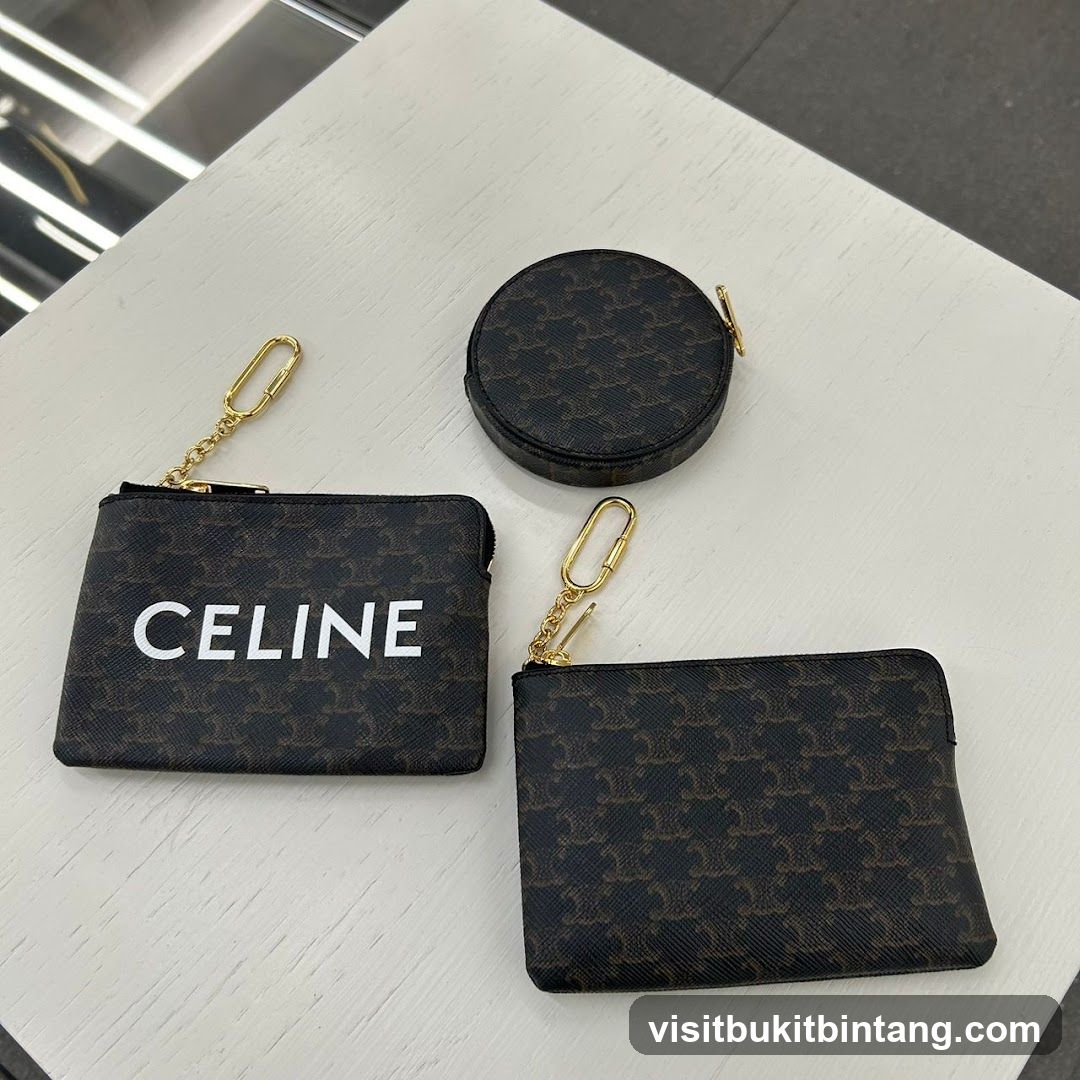 Celine Pouches