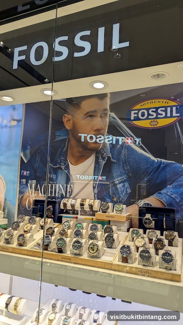 Fossil Watch Display