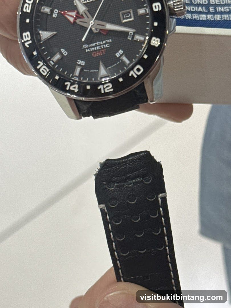 Watch and Strap