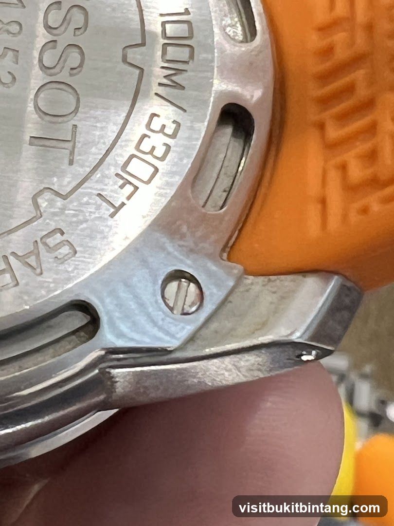 Watch Detail
