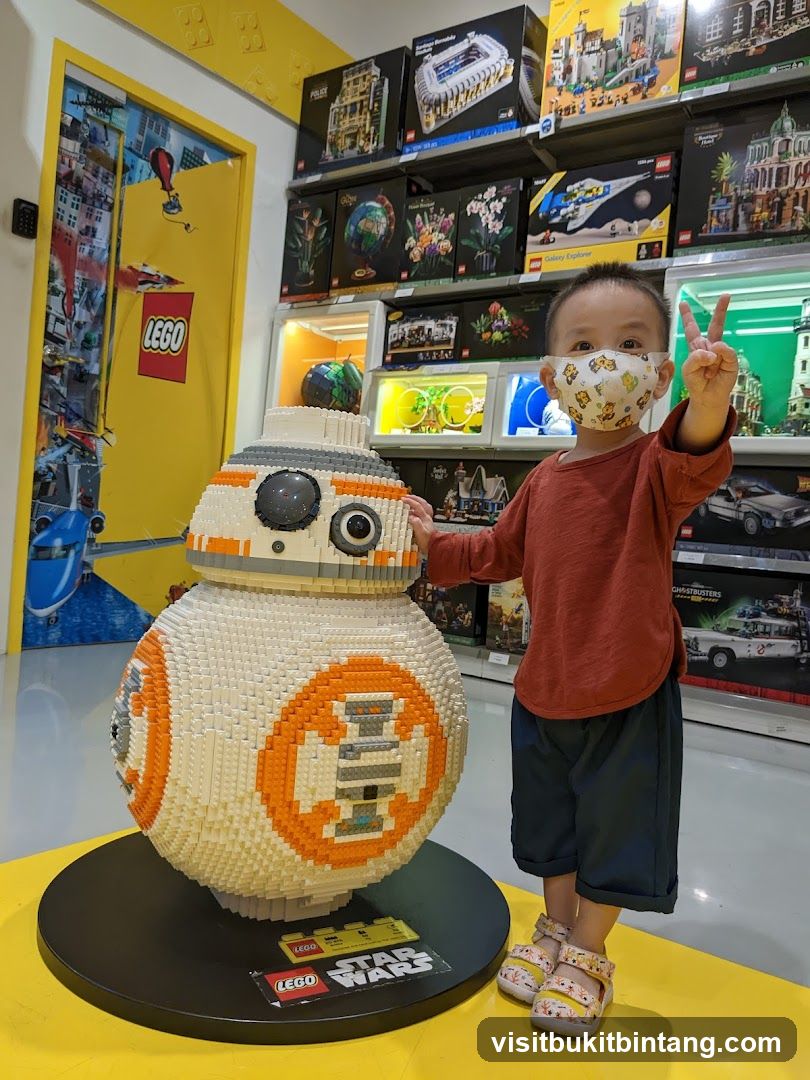 Child Posing with LEGO BB-8