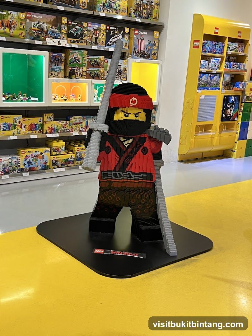 Lego Ninjago Figure Display