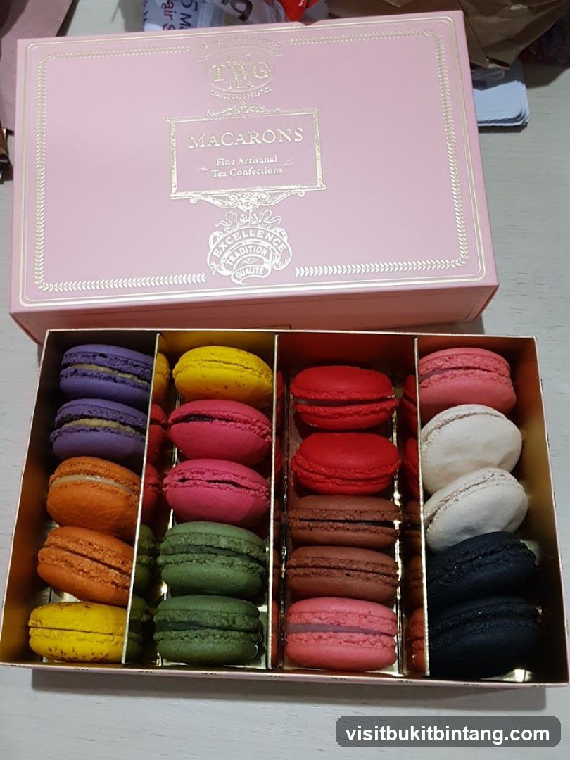 Box of Macarons