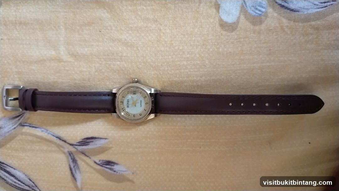 Watch with brown leather strap