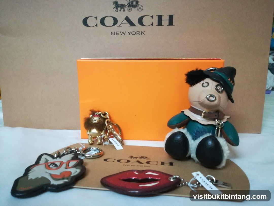 Coach Accessories