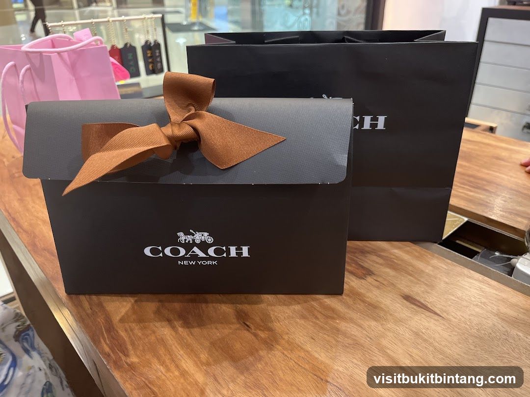 Coach Gift Box and Shopping Bags